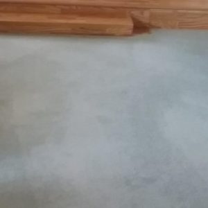 8-carpet-cleaning-washington-il